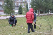 subbotnik2