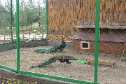 mir_ptic (7)